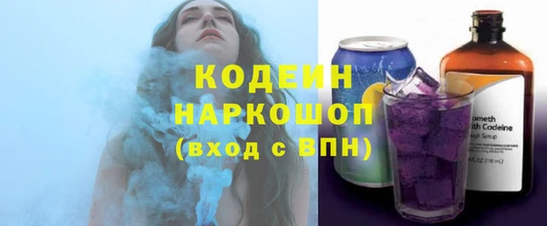 СК Няндома