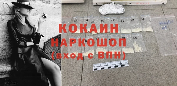 СК Няндома