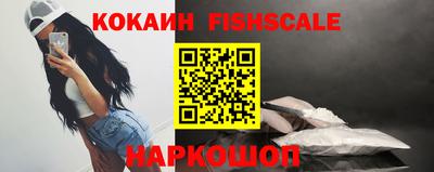 ешки Кингисепп