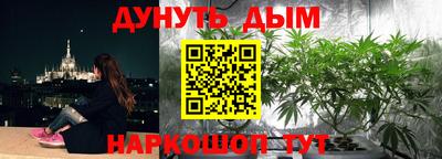 ешки Кингисепп