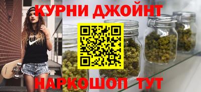 ешки Кингисепп