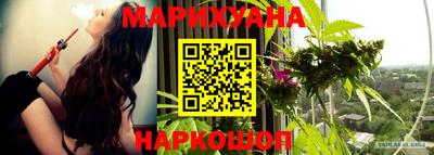 ешки Кингисепп