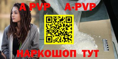 ешки Кингисепп