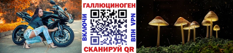 купить  сайты  Чистополь  ОМГ ОМГ вход  Галлюциногенные грибы прущие грибы 