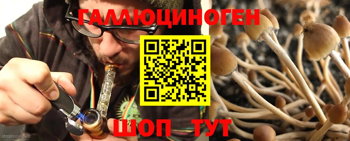 Псилоцибиновые грибы ЛСД Чистополь